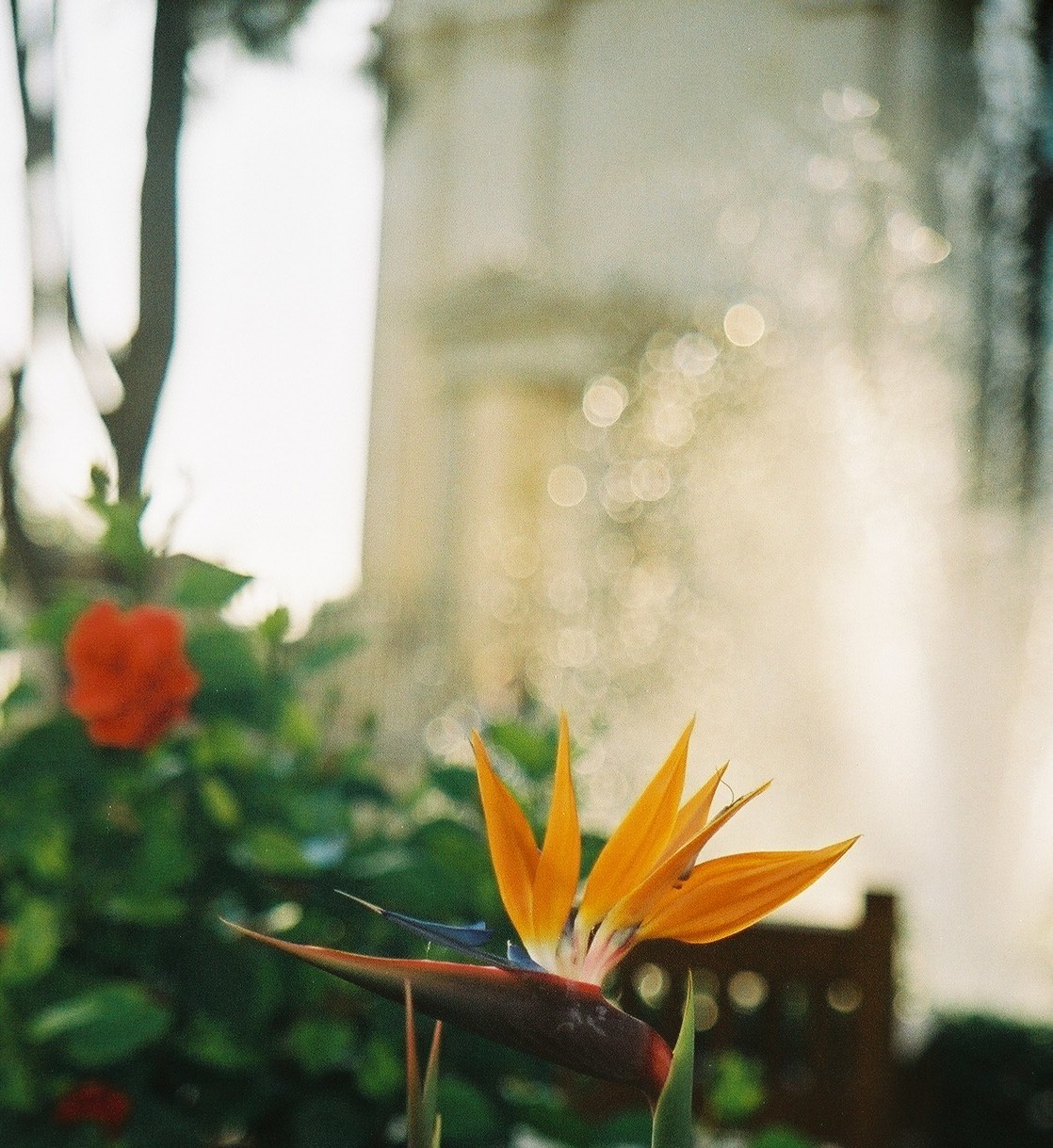 Valetta, Upper Barracca Gardens 2