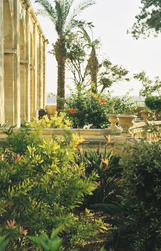 Valetta, Upper Barracca Gardens 4